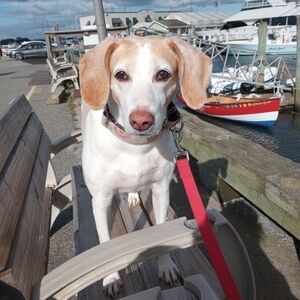 Meet your Posher, Kathi